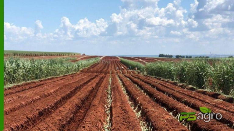 Imagem Fazenda à Venda, 150.766 m² em Centro - Itapura
