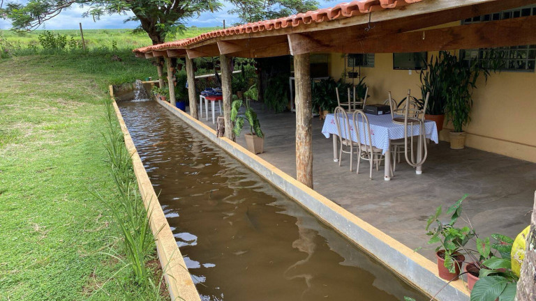 Imagem Fazenda à Venda, 390.000 m² em Santa Cruz De Goiás
