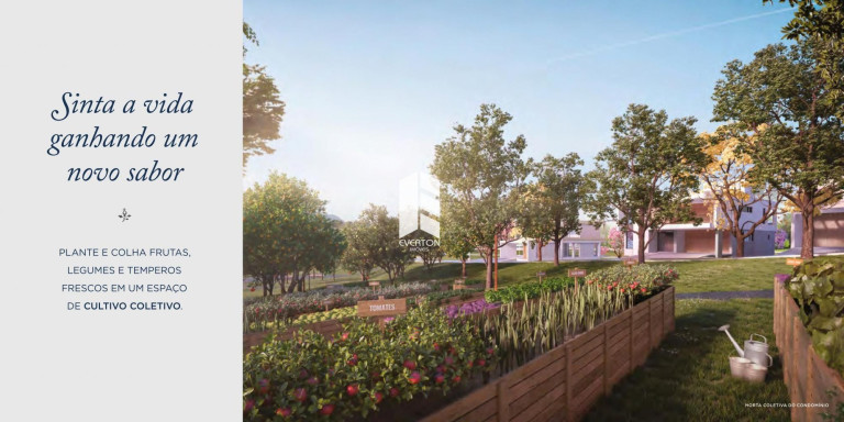 Imagem Terreno à Venda, 308 m² em Tomazetti - Santa Maria Imagem Terreno à Venda, 308 m² em Tomazetti - Santa Maria