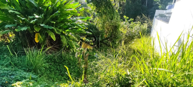 Imagem Terreno à Venda, 600 m² em Santa Rita - Ubatuba Imagem Terreno à Venda, 600 m² em Santa Rita - Ubatuba
