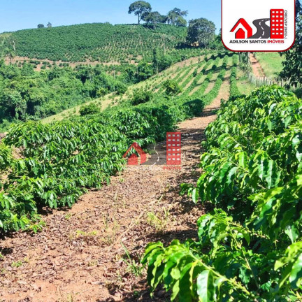 Imagem Imóvel com 2 Quartos à Venda, 72.000 m² em Santo Aleixo Juruaia - Juruaia