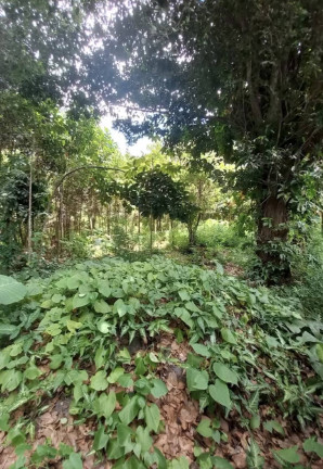 Imagem Terreno à Venda, 5 m² em Aldeia Dos Camarás - Camaragibe Imagem Terreno à Venda, 5 m² em Aldeia Dos Camarás - Camaragibe