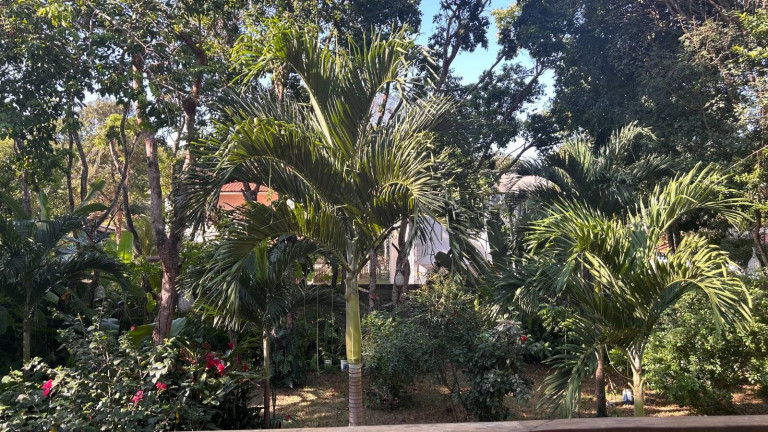 Imagem Casa com 3 Quartos à Venda, 959 m² em Imediações Do Anel Viário De Pipa - Tibau Do Sul