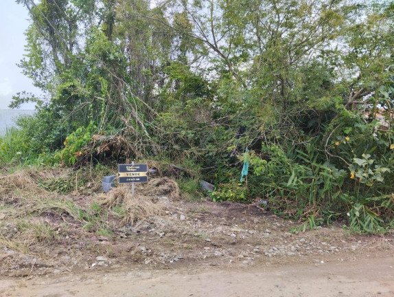 Imagem Terreno à Venda, 300 m² em Ubatuba - São Francisco Do Sul Imagem Terreno à Venda, 300 m² em Ubatuba - São Francisco Do Sul