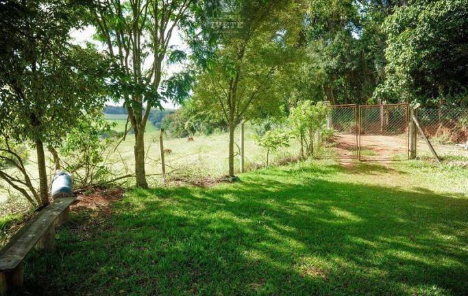 Imagem Chácara com 4 Quartos à Venda, 250 m² em Cardosos - Socorro