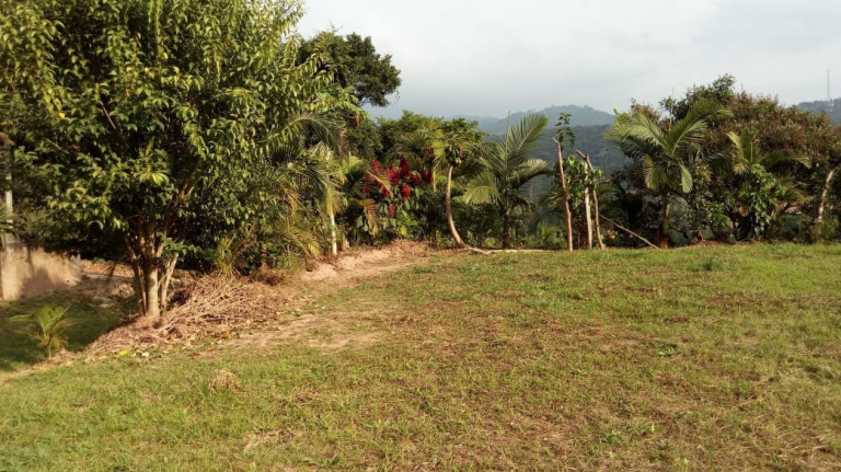 Imagem Fazenda à Venda, 80 m² em Taboão - Mogi Das Cruzes