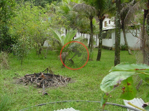 Imagem Terreno à Venda, 800 m² em Camburi - São Sebastião Imagem Terreno à Venda, 800 m² em Camburi - São Sebastião