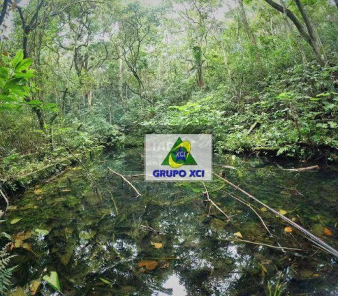 Imagem Fazenda à Venda, 30.000 m² em Chácaras Reunidas Canadá - Santa Isabel Imagem Fazenda à Venda, 30.000 m² em Chácaras Reunidas Canadá - Santa Isabel