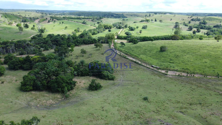 Imagem Fazenda à Venda, 9.750.000 m² em Zona Rural - Itanagra
