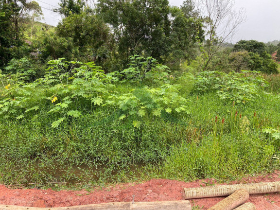 Imagem Terreno à Venda, 72.600 m² em Peão - Piracaia Imagem Terreno à Venda, 72.600 m² em Peão - Piracaia