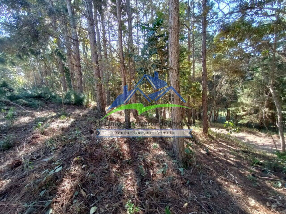 Terreno à Venda, 2.410 m² em Clube Da Montanha - Atibaia