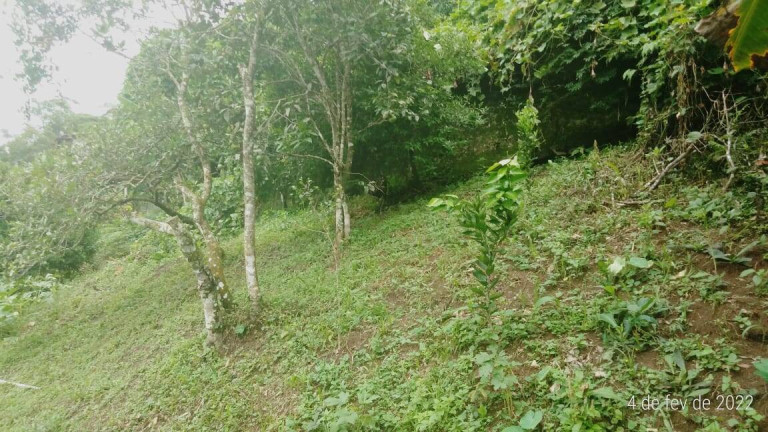 Imagem Casa com 3 Quartos à Venda, 1 m² em Parque São Clemente - Nova Friburgo