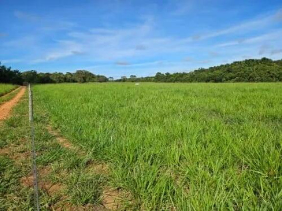 Imagem Chácara à Venda, 760 m² em Setor Central - Rio Dos Bois Imagem Chácara à Venda, 760 m² em Setor Central - Rio Dos Bois