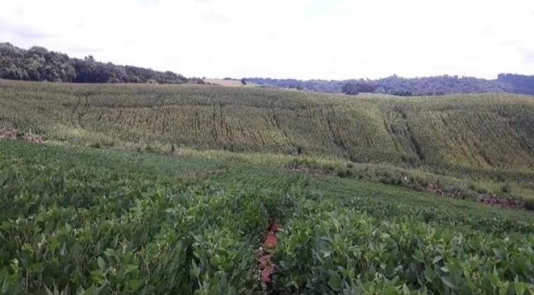 Imagem Imóvel à Venda, 30.000 m² em Quitandinha - Quitandinha Imagem Imóvel à Venda, 30.000 m² em Quitandinha - Quitandinha