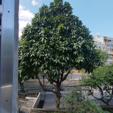 Imagem Imóvel com 2 Quartos à Venda, 78 m² em Icaraí - Niterói Imagem Imóvel com 2 Quartos à Venda, 78 m² em Icaraí - Niterói