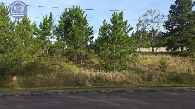 Imagem Terreno à Venda, 1.429 m² em Santa Isabel - Viamão Imagem Terreno à Venda, 1.429 m² em Santa Isabel - Viamão