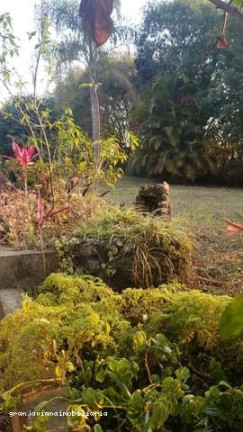 Imagem Chácara à Venda,  em Consultar - Ibiúna