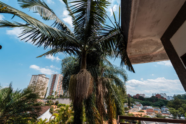 Imagem Casa com 5 Quartos à Venda, 259 m² em Jardim Marajoara - São Paulo Imagem Casa com 5 Quartos à Venda, 259 m² em Jardim Marajoara - São Paulo
