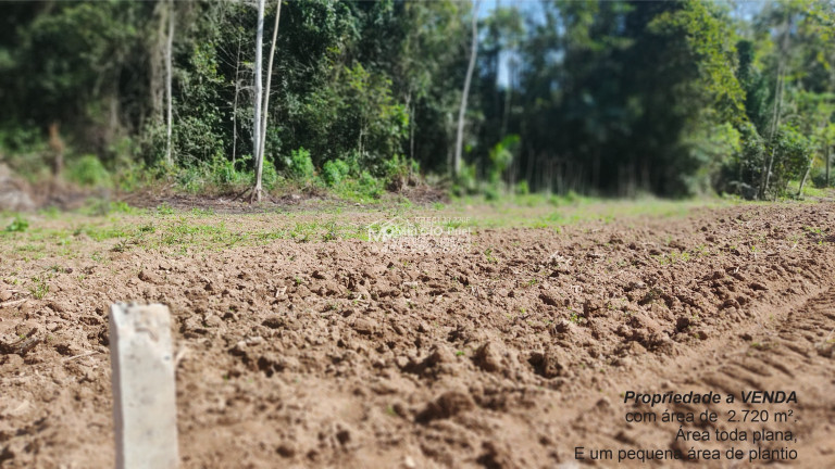 Imagem Imóvel à Venda, em Bairro, Arataca São João Batista Sc - São João Batista Imagem Imóvel à Venda, em Bairro, Arataca São João Batista Sc - São João Batista