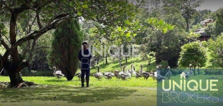 Imagem Terreno à Venda, 1.130 m² em Pinhal - Cabreúva Imagem Terreno à Venda, 1.130 m² em Pinhal - Cabreúva