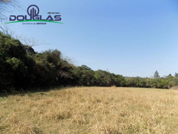 Imagem Chácara à Venda, 20.000 m² em águas Claras - Viamão Imagem Chácara à Venda, 20.000 m² em águas Claras - Viamão