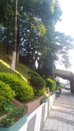 Imagem Apartamento com 2 Quartos à Venda, 65 m² em Vila Constança - São Paulo Imagem Apartamento com 2 Quartos à Venda, 65 m² em Vila Constança - São Paulo