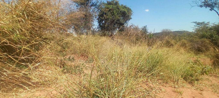 Imagem Terreno à Venda, 39.747 m² em Centro - Contagem Imagem Terreno à Venda, 39.747 m² em Centro - Contagem