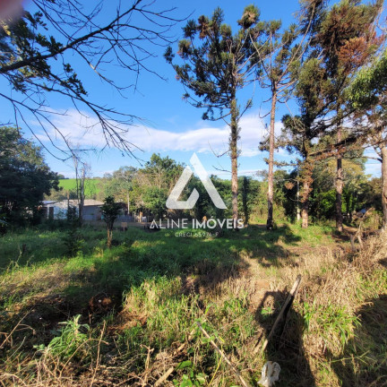 Imagem Terreno à Venda, em Santo Antão - Cruz Alta Imagem Terreno à Venda, em Santo Antão - Cruz Alta