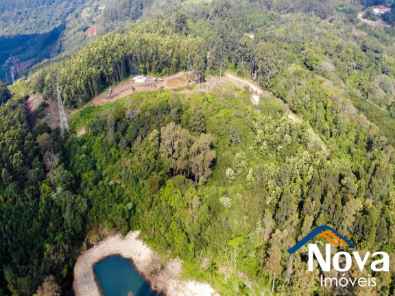 Imagem Imóvel à Venda, 32.549 m² em Linha Olinda - Nova Petrópolis