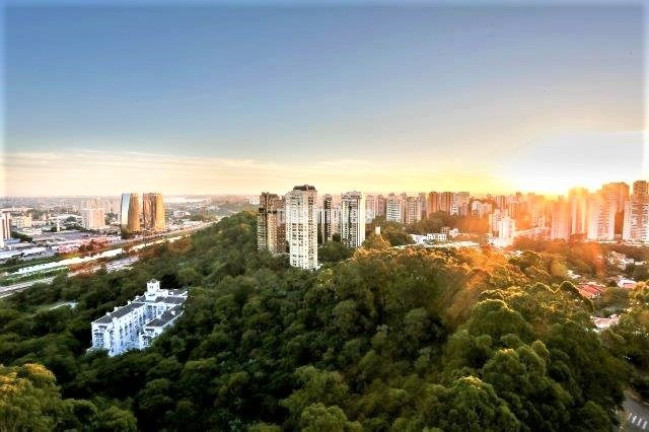 Imagem Apartamento com 4 Quartos à Venda, 1.040 m² em Panamby - São Paulo Imagem Apartamento com 4 Quartos à Venda, 1.040 m² em Panamby - São Paulo