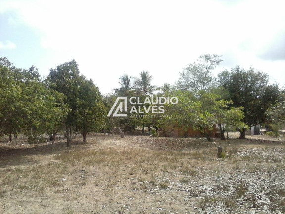Imagem Terreno à Venda, 10 m² em Jaíba - Feira De Santana