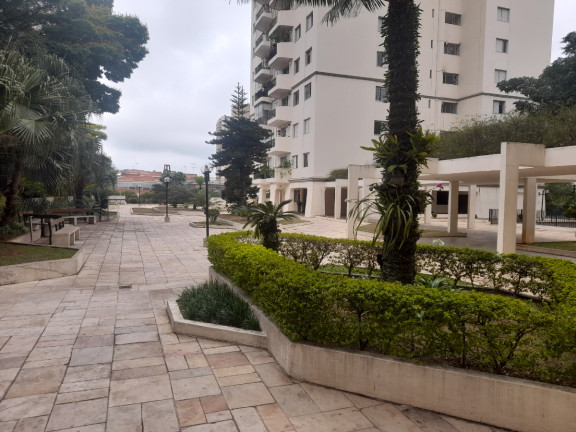 Imagem Apartamento com 3 Quartos à Venda, 115 m² em Jardim Aeroporto - São Paulo