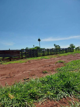 Imagem Chácara com 2 Quartos à Venda, 120 m² em área Rural  - Terenos