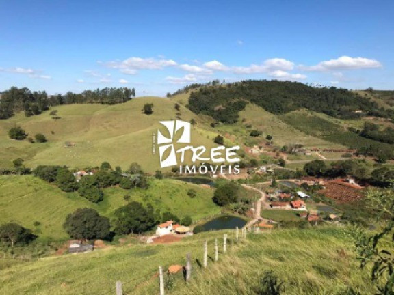 Imagem Terreno à Venda, 3.000 m² em Monte Negro - Santa Isabel Imagem Terreno à Venda, 3.000 m² em Monte Negro - Santa Isabel
