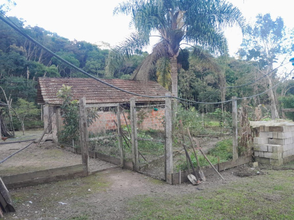 Imagem Imóvel com 3 Quartos à Venda, 72.000 m² em Centro - Tunas Do Parana