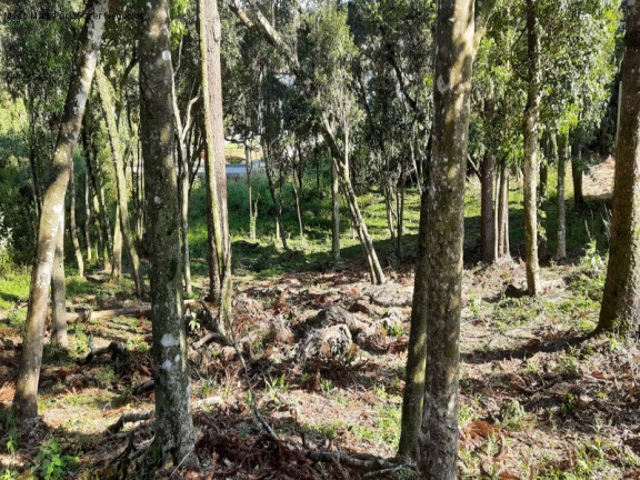 Imagem Terreno à Venda, 811 m² em Germânia - Nova Petrópolis Imagem Terreno à Venda, 811 m² em Germânia - Nova Petrópolis