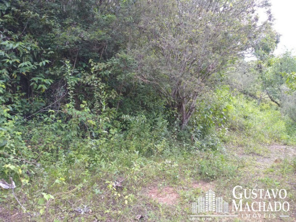 Imagem Terreno à Venda, 19.200 m² em Roma - Volta Redonda Imagem Terreno à Venda, 19.200 m² em Roma - Volta Redonda