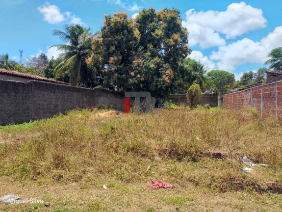 Imagem Terreno à Venda, 530 m² em São José - Macaíba Imagem Terreno à Venda, 530 m² em São José - Macaíba