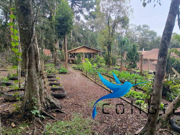 Imagem Chácara com 8 Quartos à Venda, 33.000 m² em Rio Da Várzea - Quitandinha