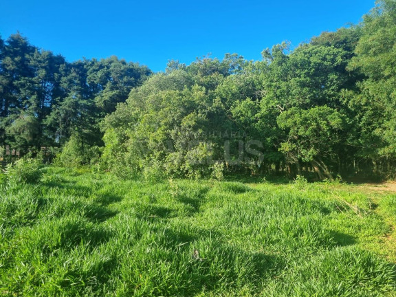 Imagem Terreno à Venda, 13.000 m² em Vila Camarão - Itapetininga Imagem Terreno à Venda, 13.000 m² em Vila Camarão - Itapetininga
