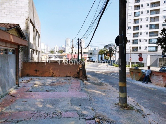 Imagem Imóvel para Alugar, 310 m² em Taquaral - Campinas Imagem Imóvel para Alugar, 310 m² em Taquaral - Campinas