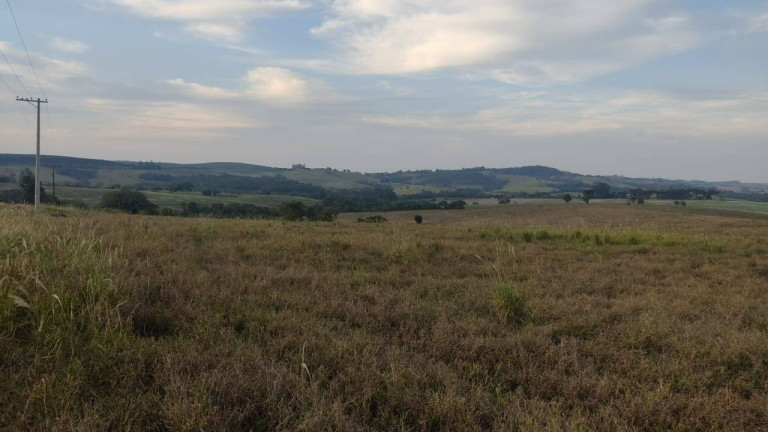 Imagem Fazenda à Venda, 314 m² em Morro Alto - Itapetininga Imagem Fazenda à Venda, 314 m² em Morro Alto - Itapetininga