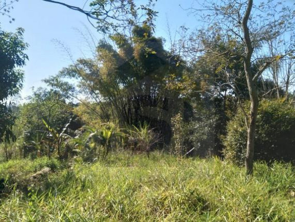 Imagem Chácara com 3 Quartos à Venda, 20.000 m² em São Roque Novo - Bofete Imagem Chácara com 3 Quartos à Venda, 20.000 m² em São Roque Novo - Bofete