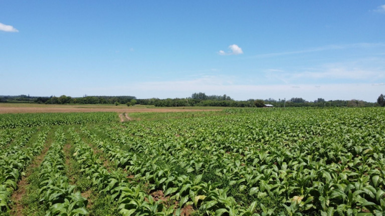 Imagem Chácara com 2 Quartos à Venda, 68.000 m² em Zona Rural - Vale Do Sol Imagem Chácara com 2 Quartos à Venda, 68.000 m² em Zona Rural - Vale Do Sol
