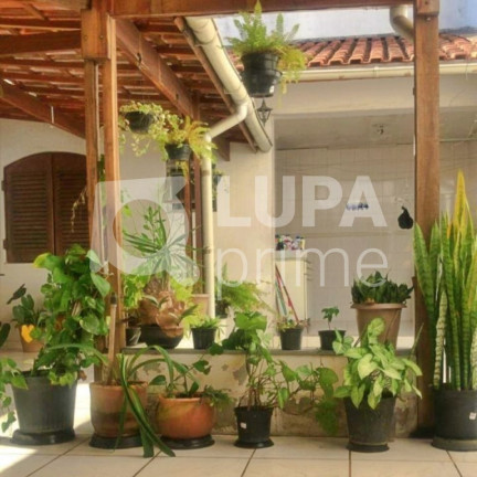 Imagem Casa com 4 Quartos à Venda, 340 m² em Vila Maria - São Paulo Imagem Casa com 4 Quartos à Venda, 340 m² em Vila Maria - São Paulo