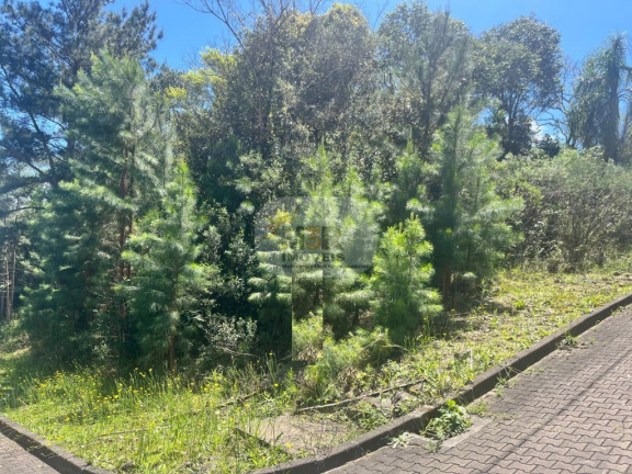 Terreno à Venda, 450 m² em Linha Imperial - Nova Petrópolis