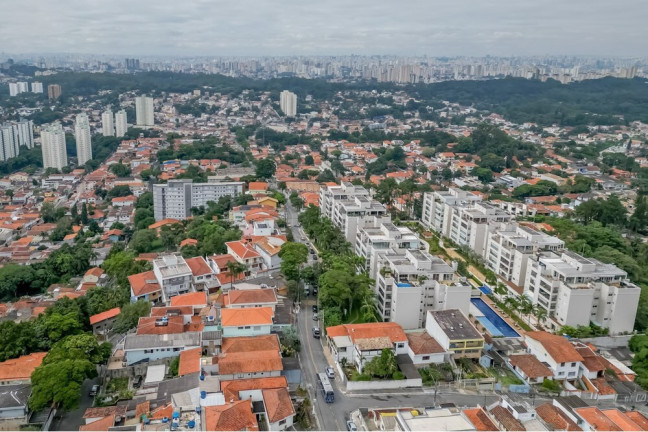 Imagem Terreno à Venda, 455 m² em Vila Irmãos Arnoni - São Paulo Imagem Terreno à Venda, 455 m² em Vila Irmãos Arnoni - São Paulo