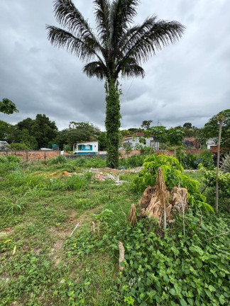 Imagem Terreno à Venda, 360 m² em Novo Aleixo - Manaus
