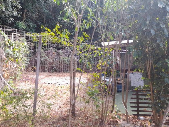 Imagem Terreno à Venda, 1.301 m² em Praia Da Pipa - Tibau Do Sul Imagem Terreno à Venda, 1.301 m² em Praia Da Pipa - Tibau Do Sul