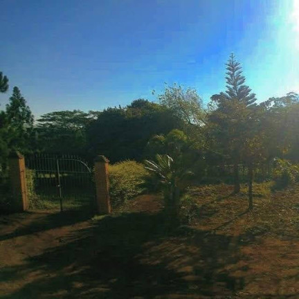 Imagem Chácara com 2 Quartos à Venda, 20.000 m² em Passa Três - Cesário Lange